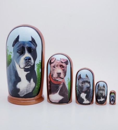 American pit bull razza cane - american,