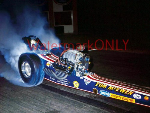 Tom mongoose mcewen - "mongoose", '69