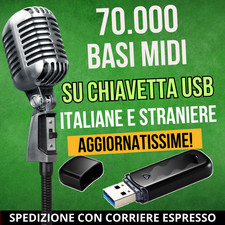 Chiavetta usb 8gb 000 basi - 70.000,