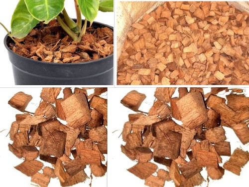 Coconut husk patatine secche - coconut,