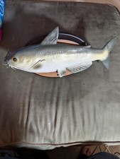 Gemmy Cool Cat CatFish pesce