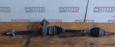 FD8025500B Semialbero ant
