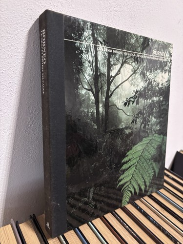 Borneo grandi distese - le,