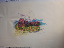 OMICCIOLI GIOVANNI  LITO 51X71 "CESTO DI RICCI"