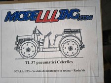 Modellling Tl37 Criel Model