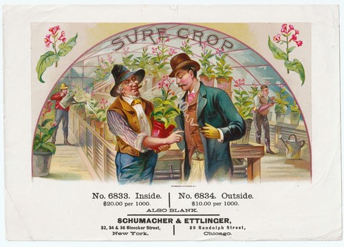 Raro originale sure crop - sure, lg