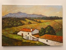 Dipinto Olio su Tela 40X60 cm