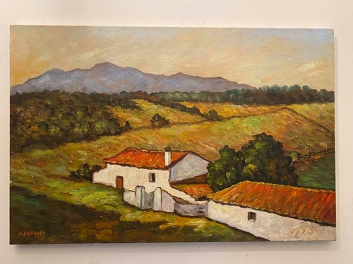 Dipinto olio tela 40x60 - dipinto,