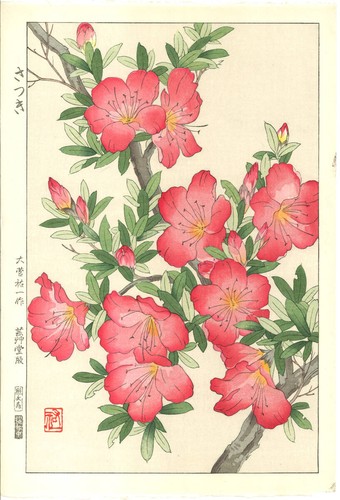 Yuichi osuga xilografia - yuichi,