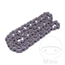 BorgWarner Endless Cam Chain