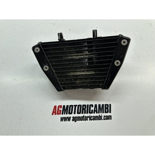 Radiatore olio motore ducati - motore,