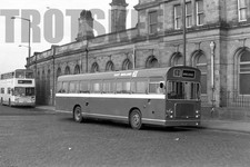35mm Black and White Negative