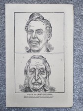 Mirthfulness - Phrenology -