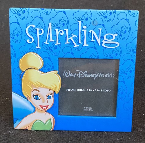 Disney world tinker bell - tinker,
