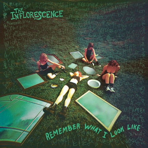 Inflorescence remember what - inflorescence,