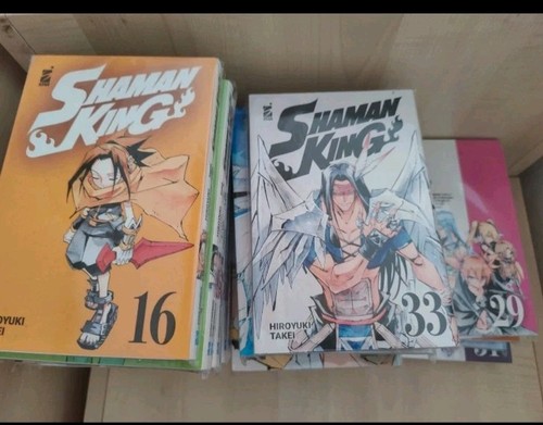 Shaman king perfect - shaman, edition