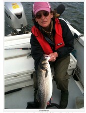 Canna da spinning Alcedo