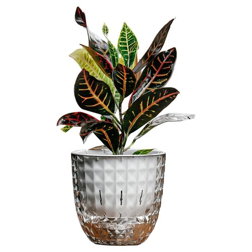 Vaso per piante succulente