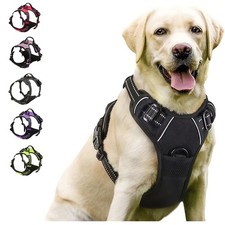 Pettorina per cani, clip