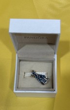 Charm pandora disneyland paris - charm,