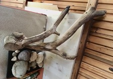 RADICI,LEGNI,SASSI STERILIZZATI PER ACQUARI,TERRARI ED ALTRI USI