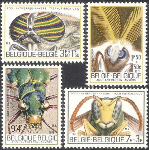 Belgio 1971 set - 1971, 4v