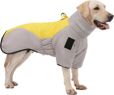 Cappotto Impermeabile per Cani