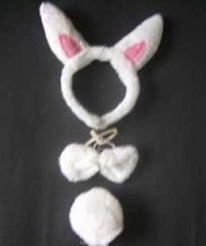 quattro articoli per