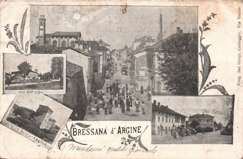 Pavia bressana argine - pavia,