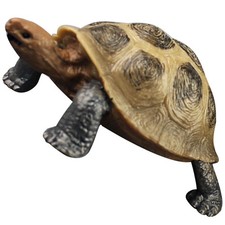 di tartaruga del giocattolo di