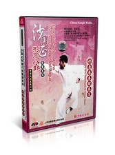 Martial Art KungFu Xingyi Quan