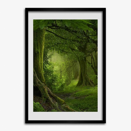 Tulup picture mdf framed - tulup,