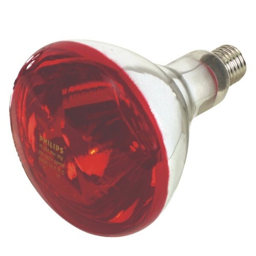 Lampada raggi infrarossi - lampada, per