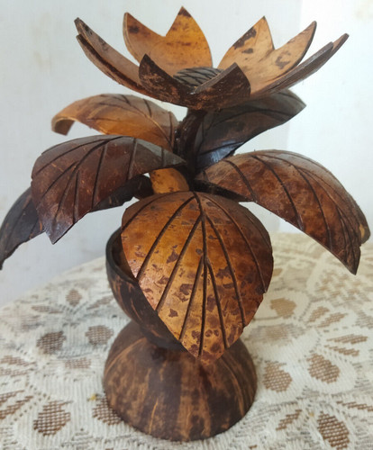 Vaso fiori conchiglia di - di,