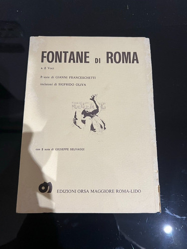 Fontane roma 2 - roma,
