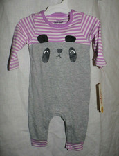 Completo viso orso grigio e