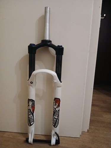 Rock shox dirty customs white - dirty,