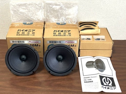 Pioneer 16m unità - pioneer, pe-16m