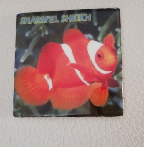 Magnete souvenir egitto - egitto, sharm