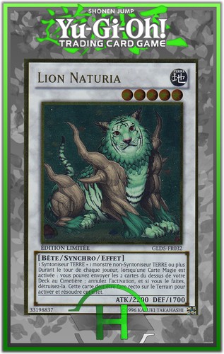 Lion naturia gld5 fr032 - lion, gld5-fr032