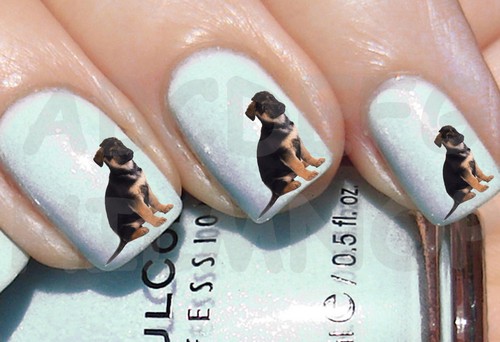 60x water decals cucciolo - 60x,