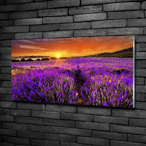 Quadro immagine arte parete - immagine, da