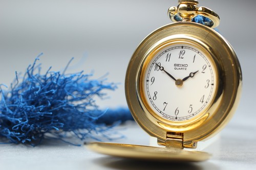 Orologio tasca seiko - orologio,