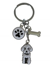 Generico Portachiavi