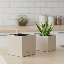 Vaso per Piante Autoirrigante