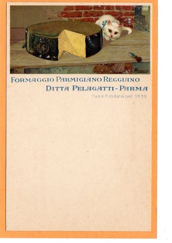 Cartolina pubblicitaria - cartolina,