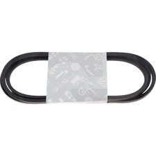 Cinghia Trasmissione