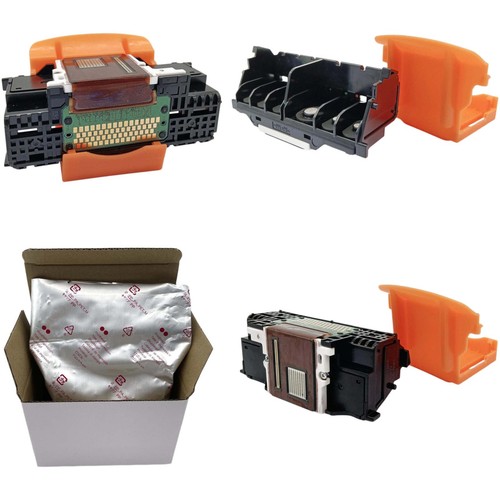 Testa stampa qy6 0083 - testa, di