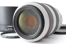 Canon EF 70-300mm f/4-5.6 L IS