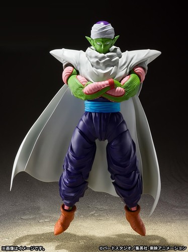 Piccolo - , (the